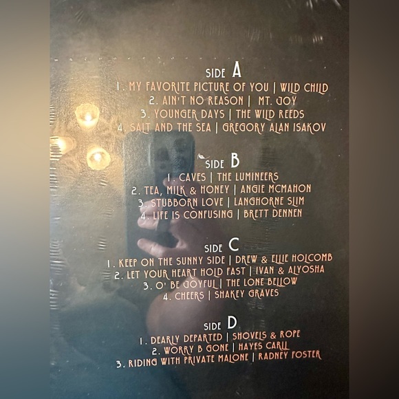 Amerikinda: 20 years of Dualtone NIP double vinyl - Picture 3 of 7